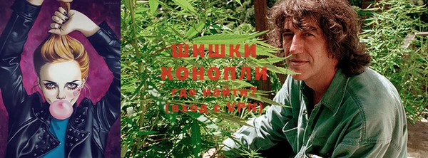 прущие крисы Иннополис