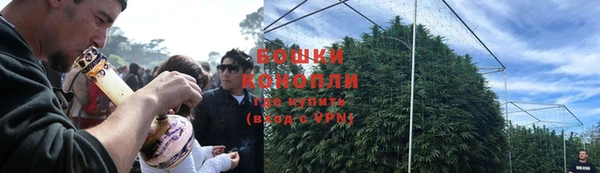 прущие крисы Иннополис