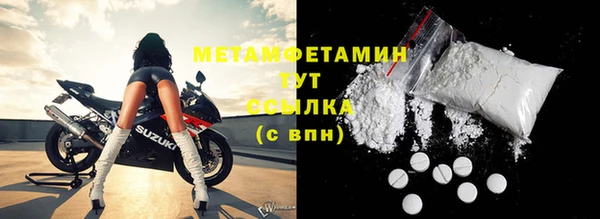 ГАЛЛЮЦИНОГЕННЫЕ ГРИБЫ Инсар