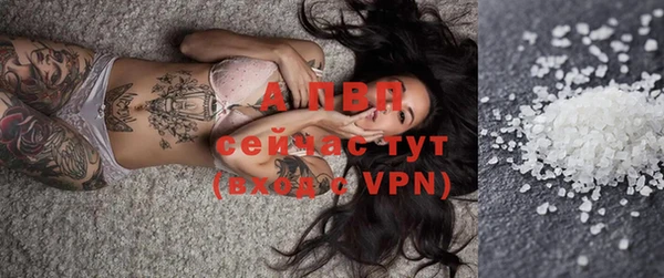 ГАЛЛЮЦИНОГЕННЫЕ ГРИБЫ Инсар
