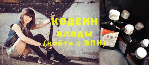 ГАЛЛЮЦИНОГЕННЫЕ ГРИБЫ Инсар