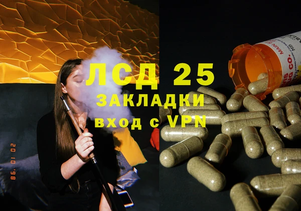ГАЛЛЮЦИНОГЕННЫЕ ГРИБЫ Инсар