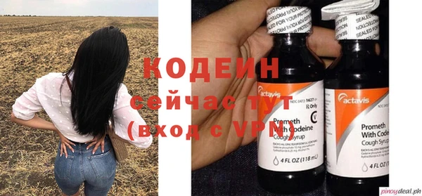 ГАЛЛЮЦИНОГЕННЫЕ ГРИБЫ Инсар
