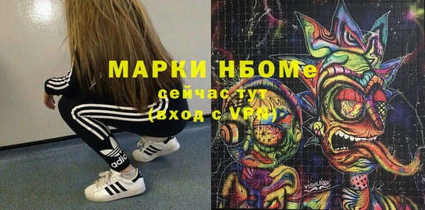 ГАЛЛЮЦИНОГЕННЫЕ ГРИБЫ Инсар