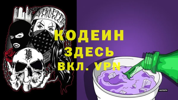 ГАЛЛЮЦИНОГЕННЫЕ ГРИБЫ Инсар