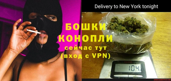 ГАЛЛЮЦИНОГЕННЫЕ ГРИБЫ Инсар