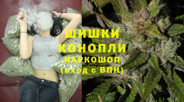 ГАЛЛЮЦИНОГЕННЫЕ ГРИБЫ Инсар
