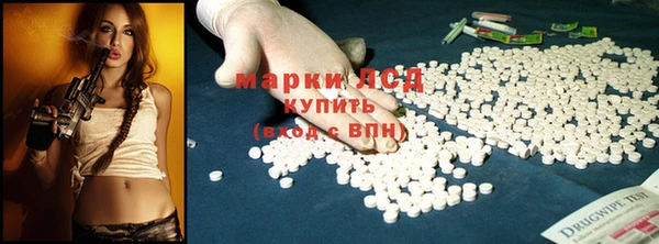 ГАЛЛЮЦИНОГЕННЫЕ ГРИБЫ Инсар