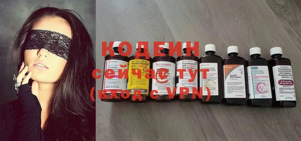 ГАЛЛЮЦИНОГЕННЫЕ ГРИБЫ Инсар