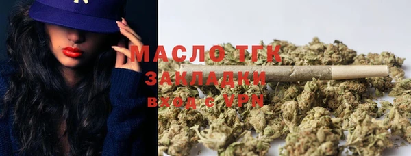 ГАЛЛЮЦИНОГЕННЫЕ ГРИБЫ Инсар