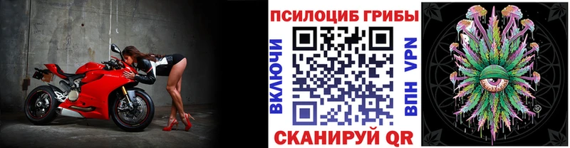 маркетплейс наркотические препараты  MEGA ТОР  Галлюциногенные грибы Psilocybine cubensis  Зубцов  купить наркоту 