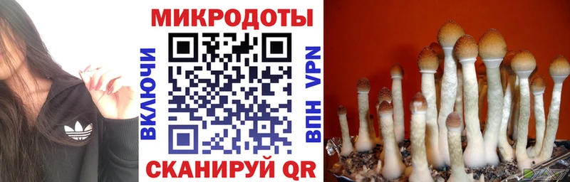 Галлюциногенные грибы ЛСД Зубцов