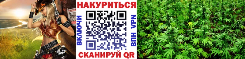 Конопля Amnesia Зубцов